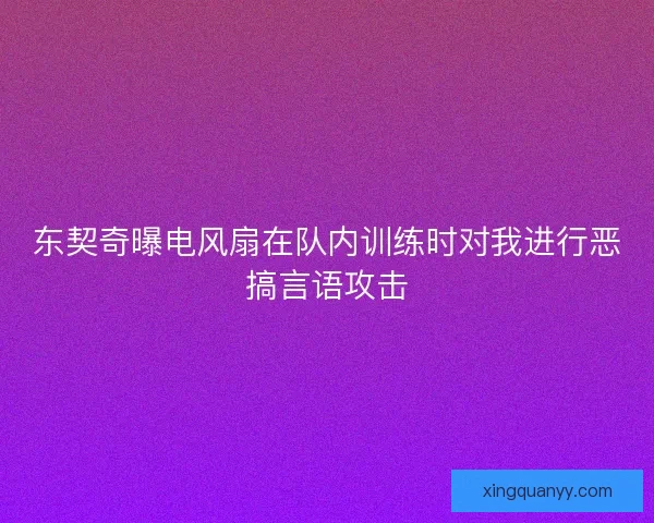 东契奇曝电风扇在队内训练时对我进行恶搞言语攻击