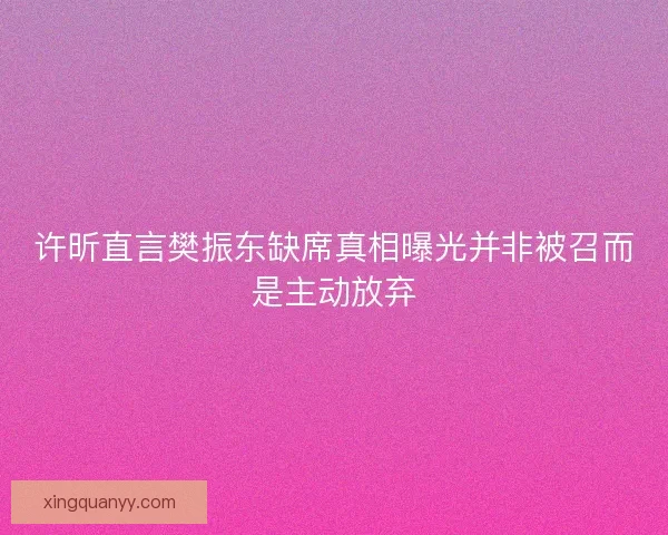 许昕直言樊振东缺席真相曝光并非被召而是主动放弃